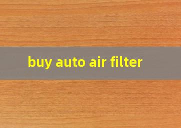 buy auto air filter